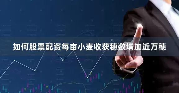 如何股票配资每亩小麦收获穗数增加近万穗