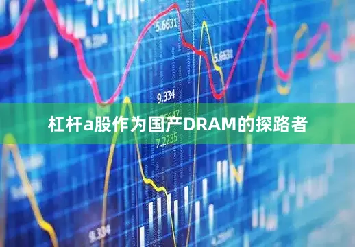 杠杆a股作为国产DRAM的探路者