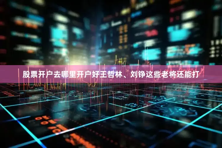 股票开户去哪里开户好王哲林、刘铮这些老将还能打