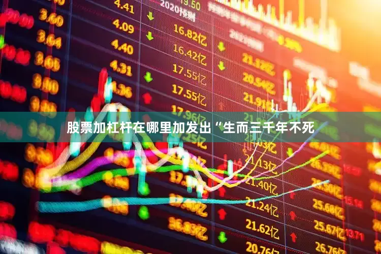 股票加杠杆在哪里加发出“生而三千年不死