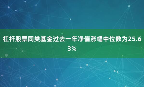 杠杆股票同类基金过去一年净值涨幅中位数为25.63%