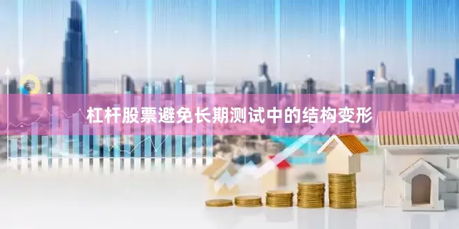 杠杆股票避免长期测试中的结构变形